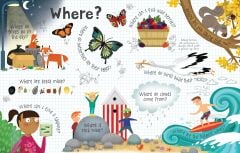 About Nature