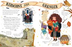 Pocket Potters 3: Hermione Granger