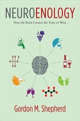 Neuroenology