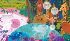 Stories and Secrets of Colours
