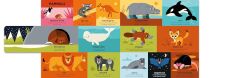My First Book of Everything: Animals