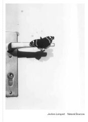 Jochen Lempert