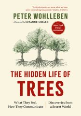Hidden Life of Trees