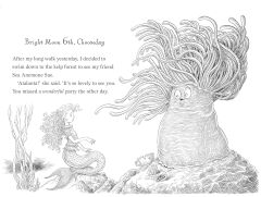 Mermaid's Diary