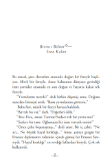 Despero’nun Öyküsü