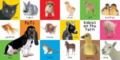 First 100 Animals