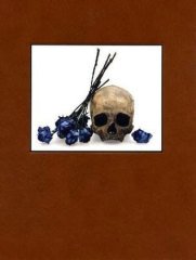 David Bailey: Flowers, Skulls, Contacts