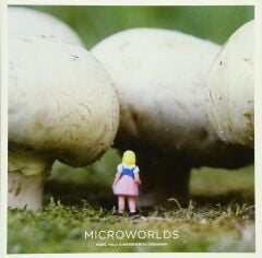 Microworlds