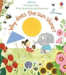 Why Does the Sun Shine?