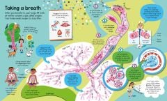 Big Book of The Body