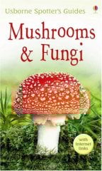 Mushrooms and Funghi