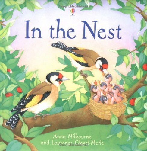 In The Nest