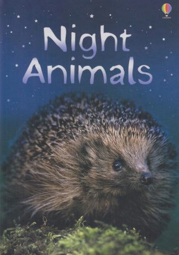 Night Animals