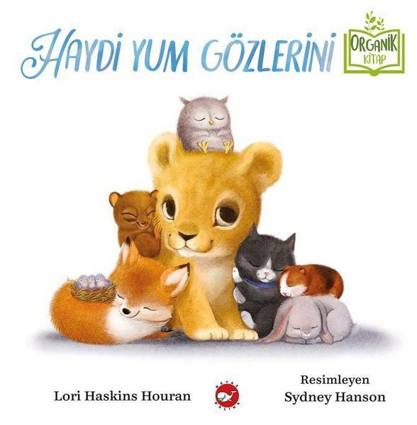 Haydi Yum Gözlerini - Organik Kitap