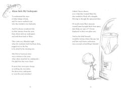 Big Amazing Poetry Book