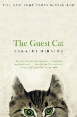 Guest Cat
