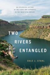 Two Rivers Entangled