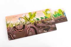 Big Outdoors for Little Explorers: Minibeasts