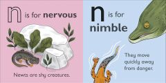 N is for Newt