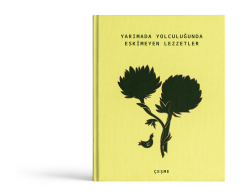 Yarımada Yolculuğunda Eskimeyen Lezzetler