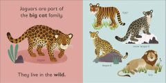 J is for Jaguar