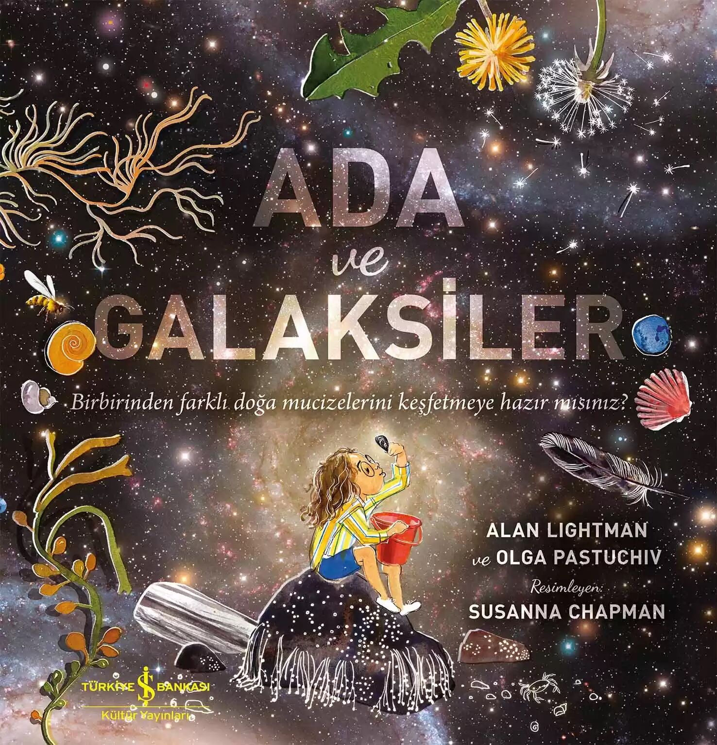 Ada ve Galaksiler