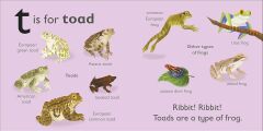 T is for Toad