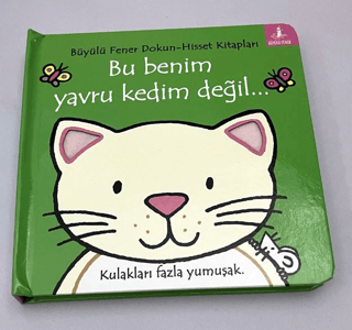 Bu Benim Yavru Kedim Değil…