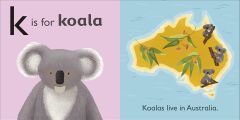 K is for Koala