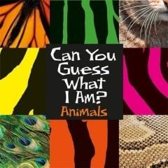Can You Guess What I Am?: Animals