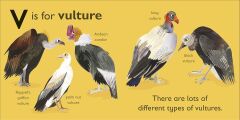 V is for Vulture