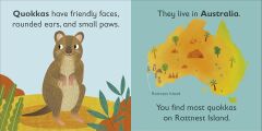 Q is for Quokka