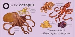 O is for Octopus