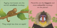 M is for Monkey