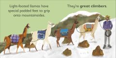 L is for Llama