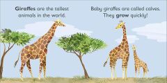 G is for Giraffe