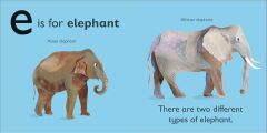 E is for Elephant