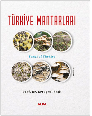 Türkiye Mantarları