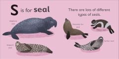 S is for Seal