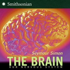 Brain: All about Our Nervous System and More!