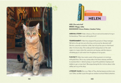 Bookshop Cats