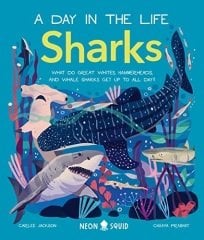 Sharks (A Day in the Life)