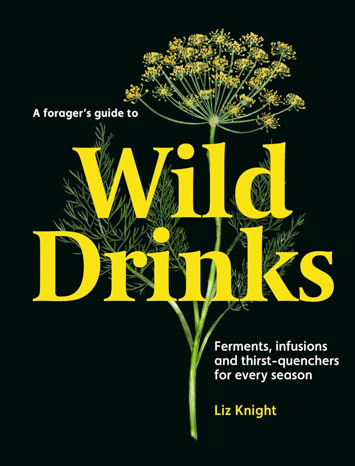 Forager's Guide to Wild Drinks