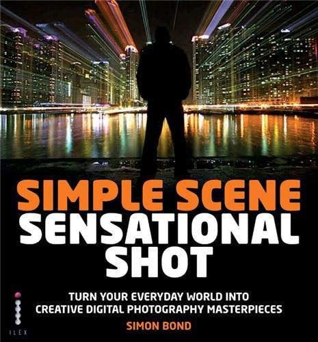 Simple Scene Sensational Shot: Artistic Photography in Any Environment