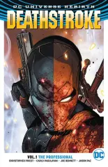 Deathstroke Vol. 1 Professional (Rebirth)