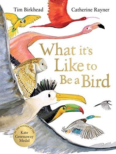 What it's Like to be a Bird