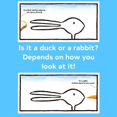 Duck! Rabbit!