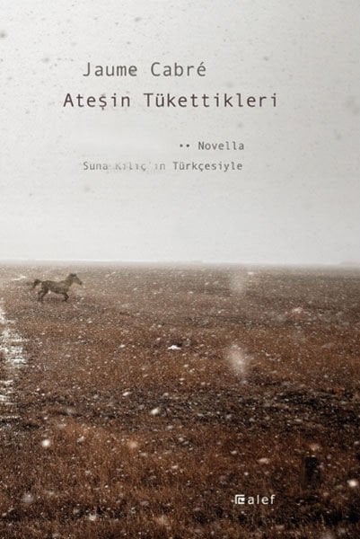 Ateşin Tükettikleri