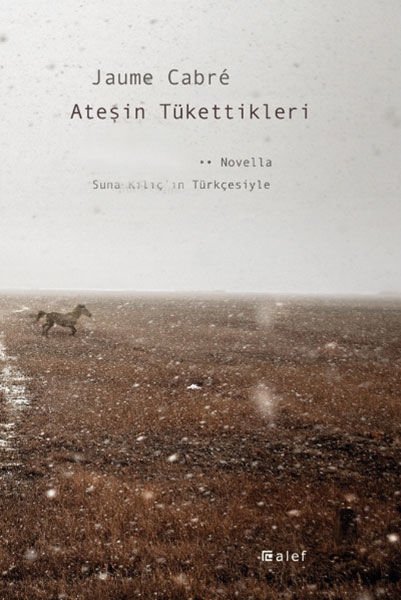 Ateşin Tükettikleri