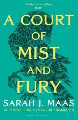 Court of Mist and Fury, A Court of Thorns and Roses 2